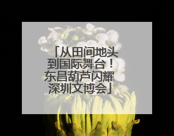 从田间地头到国际舞台！东昌葫芦闪耀深圳文博会