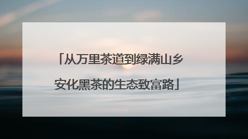 从万里茶道到绿满山乡 安化黑茶的生态致富路
