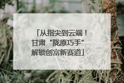 从指尖到云端！甘肃“陇原巧手”解锁创富新赛道