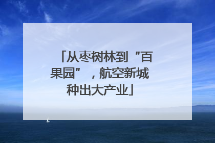 从枣树林到“百果园”，航空新城种出大产业