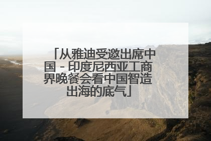 从雅迪受邀出席中国－印度尼西亚工商界晚餐会看中国智造出海的底气