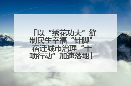 以“绣花功夫”缝制民生幸福“针脚” 宿迁城市治理“十项行动”加速落地