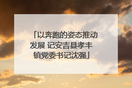 以奔跑的姿态推动发展 记安吉县孝丰镇党委书记沈强
