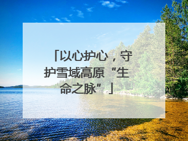 以心护心，守护雪域高原“生命之脉”