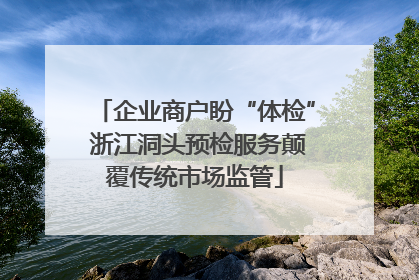 企业商户盼“体检” 浙江洞头预检服务颠覆传统市场监管