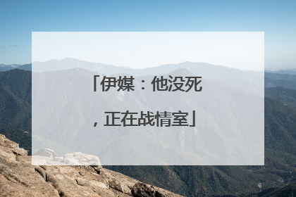 伊媒：他没死，正在战情室