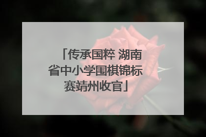 传承国粹 湖南省中小学围棋锦标赛靖州收官