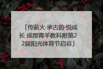 传薪火·承古韵·悦成长 成都青羊教科附第22届阳光体育节启幕