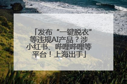 发布“一键脱衣”等违规AI产品？涉小红书、哔哩哔哩等平台！上海出手