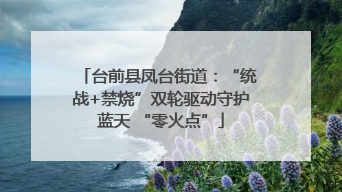 台前县凤台街道：“统战+禁烧”双轮驱动守护蓝天 “零火点”