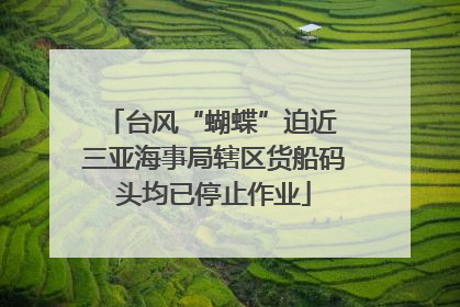 台风“蝴蝶”迫近 三亚海事局辖区货船码头均已停止作业