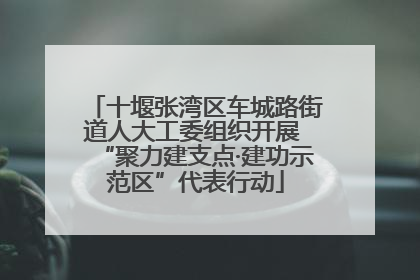 十堰张湾区车城路街道人大工委组织开展 “聚力建支点·建功示范区”代表行动