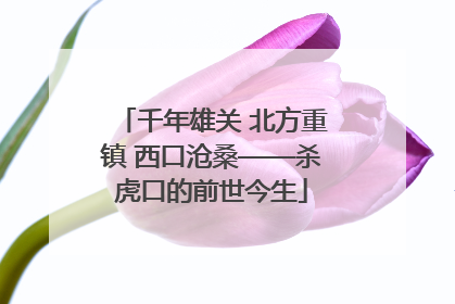 千年雄关 北方重镇 西口沧桑——杀虎口的前世今生