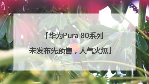华为Pura 80系列未发布先预售，人气火爆