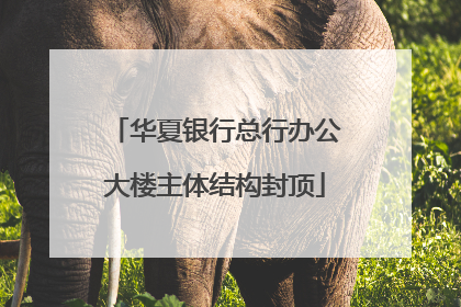 华夏银行总行办公大楼主体结构封顶