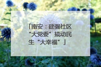 南安：建强社区“大党委”撬动民生“大幸福”