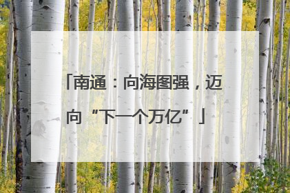 南通：向海图强，迈向“下一个万亿”
