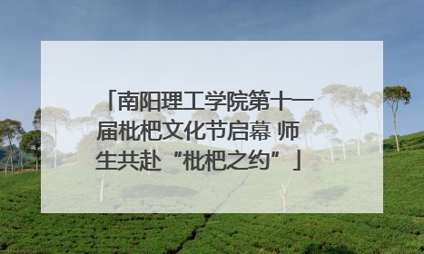 南阳理工学院第十一届枇杷文化节启幕 师生共赴“枇杷之约”