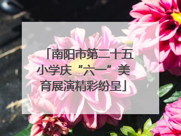 南阳市第二十五小学庆“六一”美育展演精彩纷呈