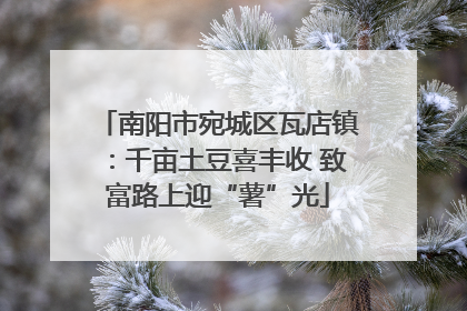 南阳市宛城区瓦店镇：千亩土豆喜丰收 致富路上迎“薯”光