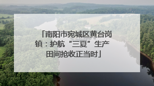南阳市宛城区黄台岗镇：护航“三夏”生产 田间抢收正当时