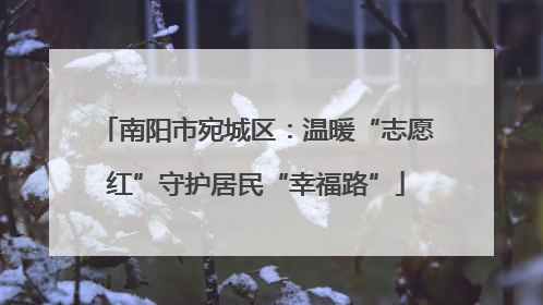 南阳市宛城区：温暖“志愿红”守护居民“幸福路”