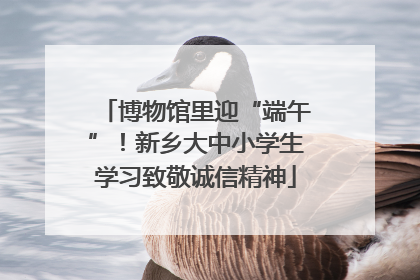 博物馆里迎“端午”！新乡大中小学生学习致敬诚信精神