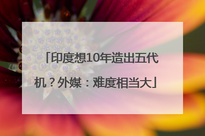 印度想10年造出五代机？外媒：难度相当大