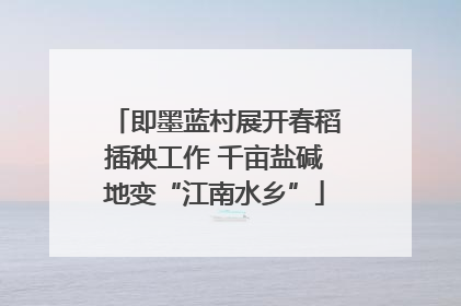 即墨蓝村展开春稻插秧工作 千亩盐碱地变“江南水乡”