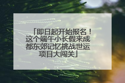 即日起开始报名！这个端午小长假来成都东郊记忆挑战世运项目大闯关