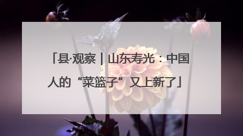 县·观察｜山东寿光：中国人的“菜篮子”又上新了