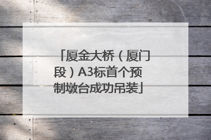 厦金大桥（厦门段）A3标首个预制墩台成功吊装