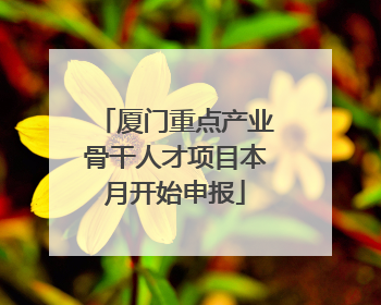 厦门重点产业骨干人才项目本月开始申报