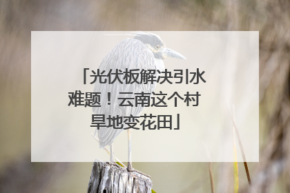 光伏板解决引水难题！云南这个村旱地变花田
