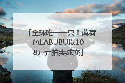 全球唯一一只！薄荷色LABUBU以108万元拍卖成交