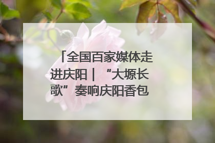 全国百家媒体走进庆阳｜“大塬长歌”奏响庆阳香包民俗文化节序曲
