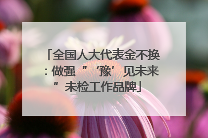 全国人大代表金不换：做强“‘豫’见未来”未检工作品牌