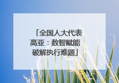 全国人大代表高亚：数智赋能破解执行难题