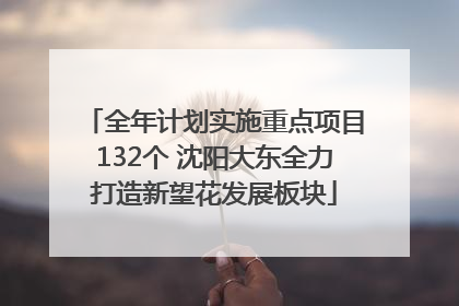 全年计划实施重点项目132个 沈阳大东全力打造新望花发展板块