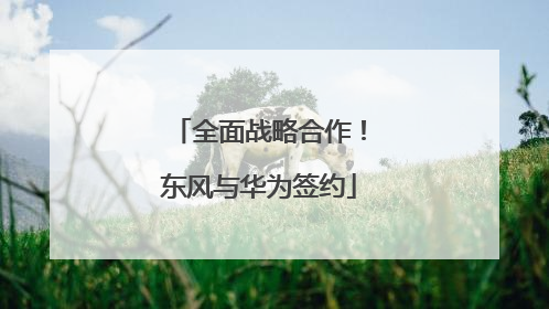 全面战略合作！东风与华为签约