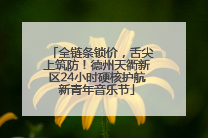 全链条锁价，舌尖上筑防！德州天衢新区24小时硬核护航新青年音乐节
