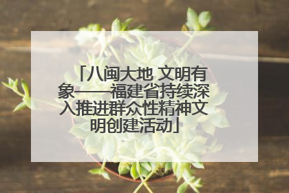 八闽大地 文明有象——福建省持续深入推进群众性精神文明创建活动