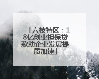 六枝特区：18亿创业担保贷款助企业发展提质加速