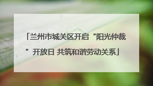 兰州市城关区开启“阳光仲裁”开放日 共筑和谐劳动关系