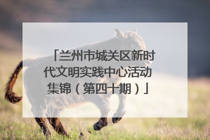 兰州市城关区新时代文明实践中心活动集锦（第四十期）