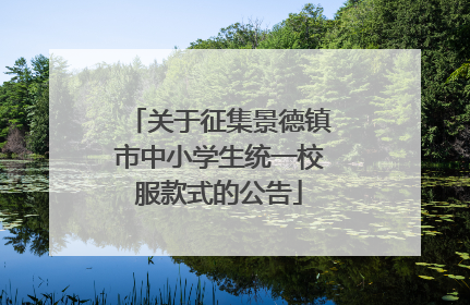 关于征集景德镇市中小学生统一校服款式的公告