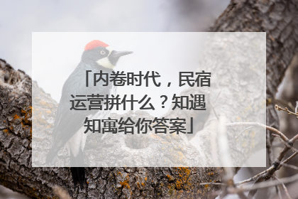 内卷时代，民宿运营拼什么？知遇知寓给你答案