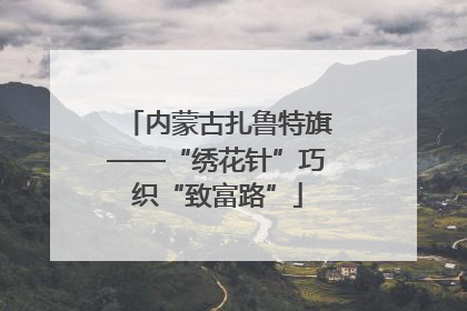 内蒙古扎鲁特旗——“绣花针”巧织“致富路”