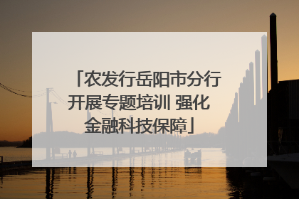 农发行岳阳市分行开展专题培训 强化金融科技保障