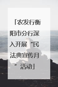 农发行衡阳市分行深入开展“民法典宣传月”活动